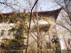 -山东大学(趵突泉校区)