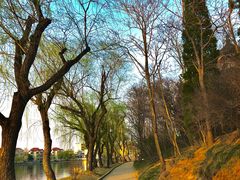 -莱西月湖公园