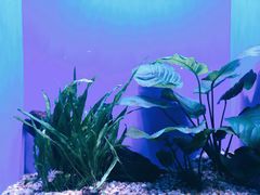 -上海海洋水族馆