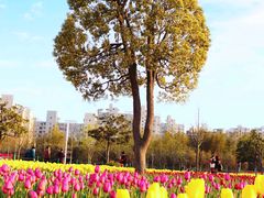 -大宁公园