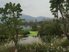 -月亮湾景区