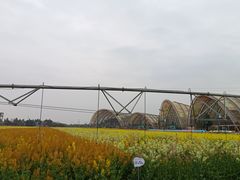 -中国天府农业博览园