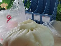 香菇菜包-大龙汤包