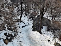 -阳台山自然风景区