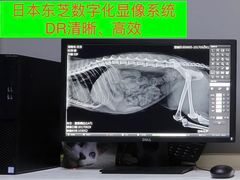 -御宝贝·A梦猫科宠物医院(国际猫友好医院)