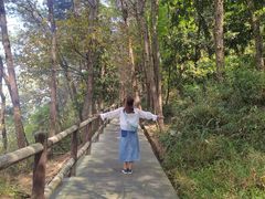 -铁山坪森林公园