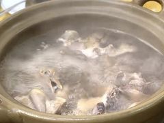 -石岐鸽师傅餐厅(石岐总店)
