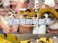 -瑞虹新天地月亮湾