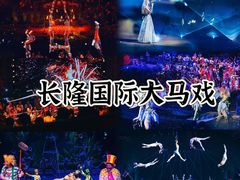 -广州长隆国际大马戏
