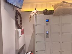 -拾光秀照相馆(石家庄勒泰中心店)