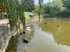 -合肥野生动物园