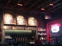 -Boxing Cat Brewery拳击猫精酿啤酒馆(永福店)