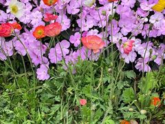 -人民公园(罗湖区)