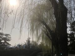 -泉城广场