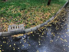 -苏沐堂全息足浴·SPA·按摩(万科美好广场店)