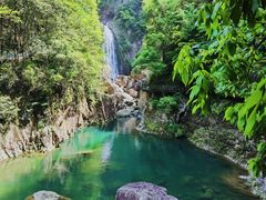 -龙湾潭国家森林公园