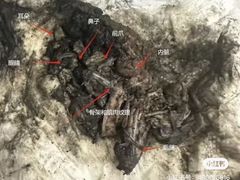 -御面斋精品面馆