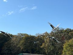 -哈尔滨北方森林动物园