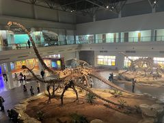 -自贡恐龙博物馆