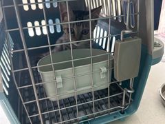 -乐琪宠物医院·犬猫专科·骨外科·急重症