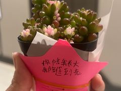 -锦府盐帮·李宅(领展购物广场中关村店)