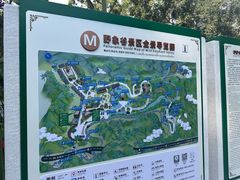 -野象谷景区