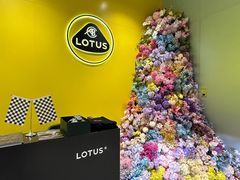 -莲花跑车(国贸商城店)