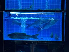 -黄山老妈·土菜(碧桂园店)