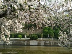 -海棠花溪(元大都城垣遗址公园)