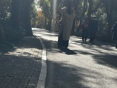 -东湖落雁景区