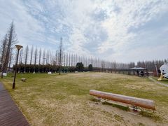 -黄海国家森林公园