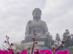 -宝莲禅寺