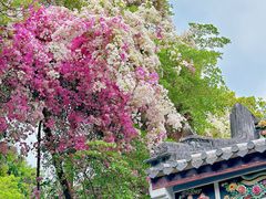 -深圳国际园林花卉博览园