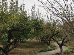 -白马涧龙池景区