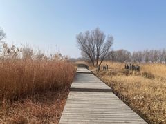 -野鸭湖国家湿地公园