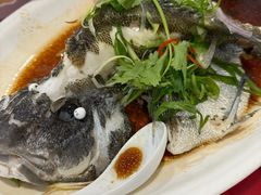 清蒸石斑-九记路边鸡(滨江路店)