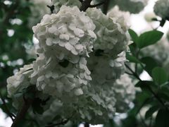 -院士公园