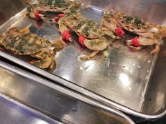 -鲜鲜·鲅鱼圈海鲜(于洪店)