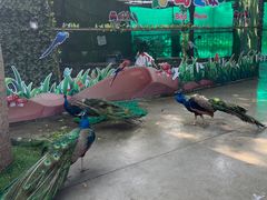 -史努比缤纷世界
