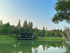 -杭州植物园