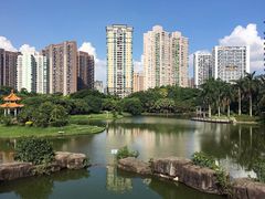 -四海公园(南山区)