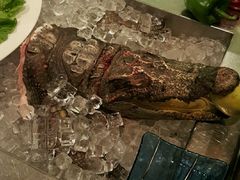 -圣廷苑酒店-世纪楼菲苑自助餐厅