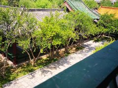 -中国翰园碑林