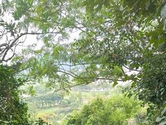 -南北湖风景区