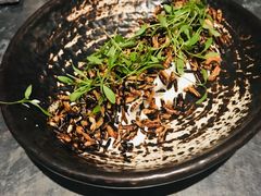 生醃三文魚・炸米花・酸乳酪-Apollo·西班牙小酒馆(安福路店)