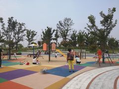 -春花秋色城市公园