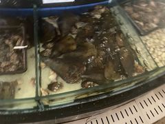 -小榄人家酒楼(民安店)