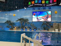 -泉城欧乐堡海洋极地世界