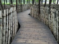 -乌镇东栅景区