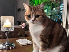 -咖法森林·咖啡  酒吧(天河店)